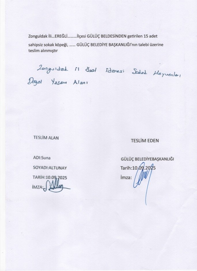 CAN DOSTLARIMIZ EMİN ELLERDE