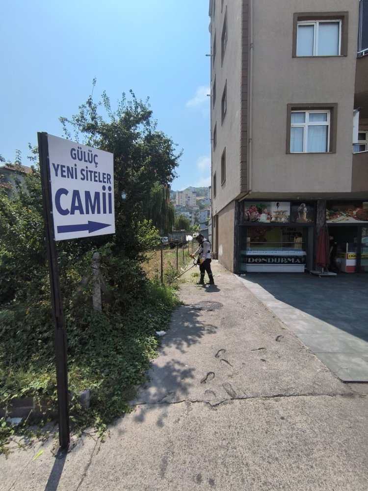 Tertemiz Bir Gülüç İçin Çalışıyoruz!