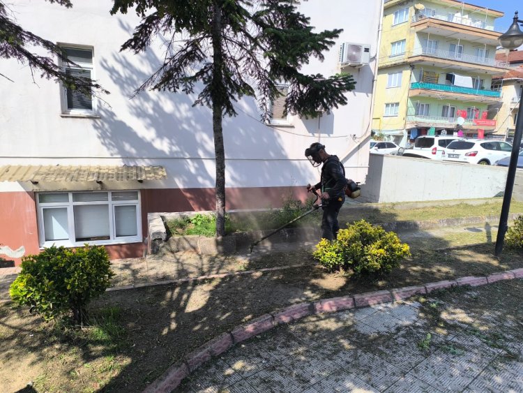 TEMİZLİK SEFERBERLİĞİMİZ DEVAM EDİYOR...