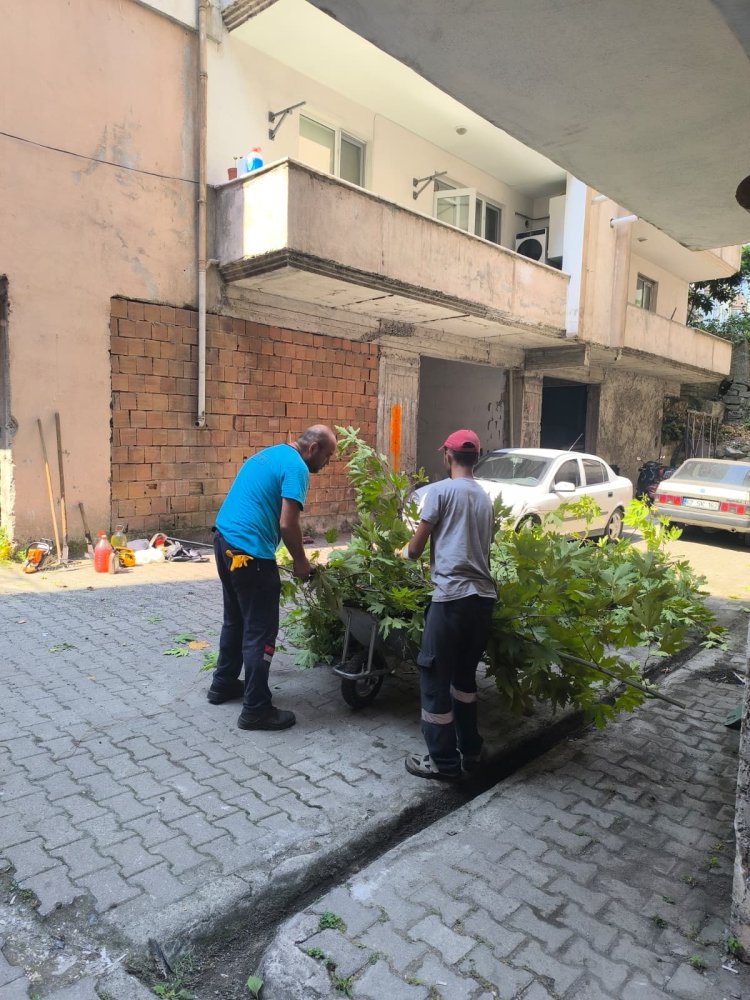 Tertemiz Bir Gülüç İçin Çalışıyoruz!