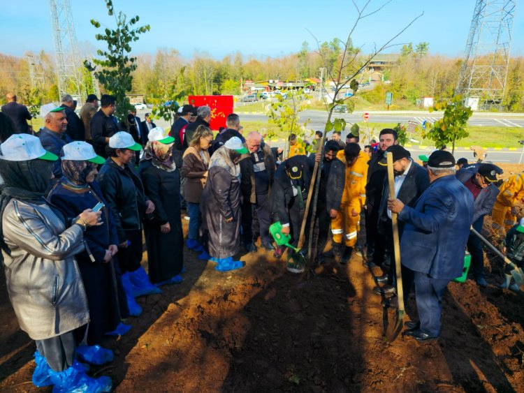 11 Kasım Milli Ağaçlandırma Günü – Geleceğimize Nefes Oluyoruz!
