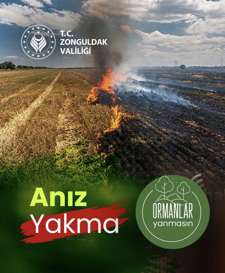 DOĞAMIZI KORUYALIM....