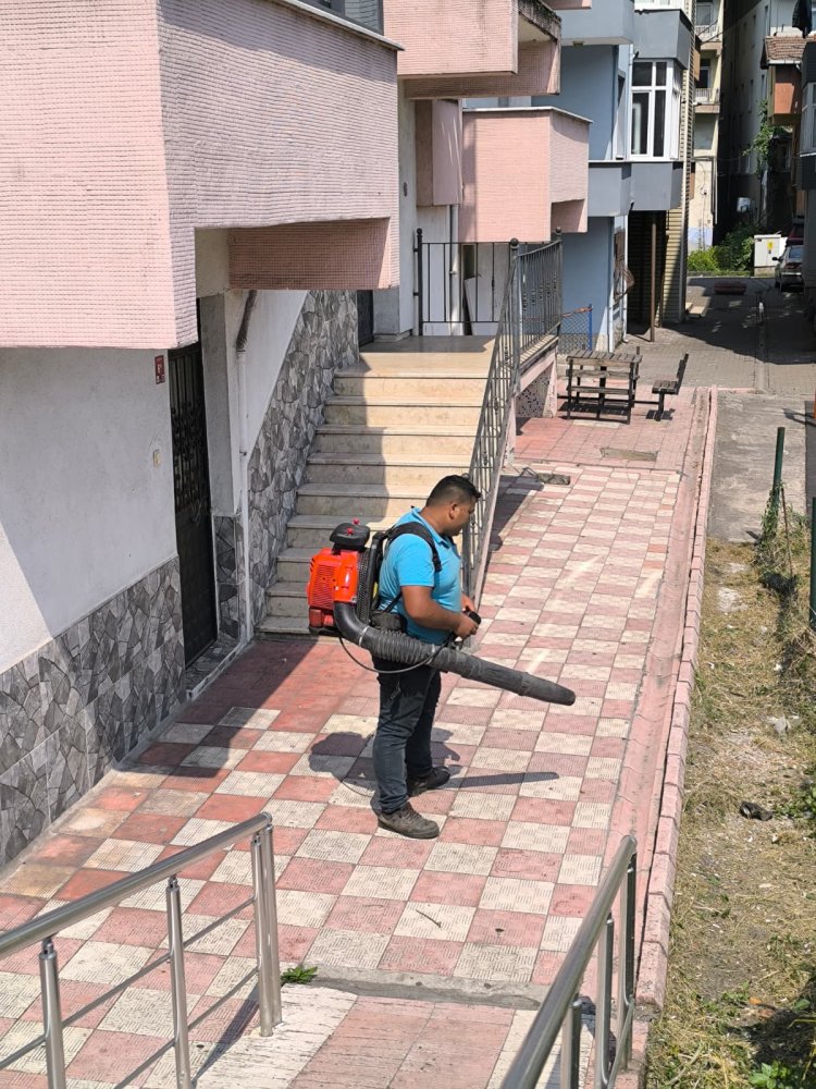 Tertemiz Bir Gülüç İçin Çalışıyoruz!