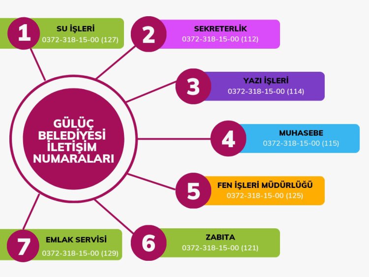 Belediye Birimleri