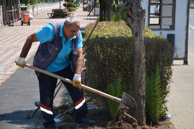 GÜLÜÇ’ÜN HER KÖŞESİ GÜZELLEŞİYOR!