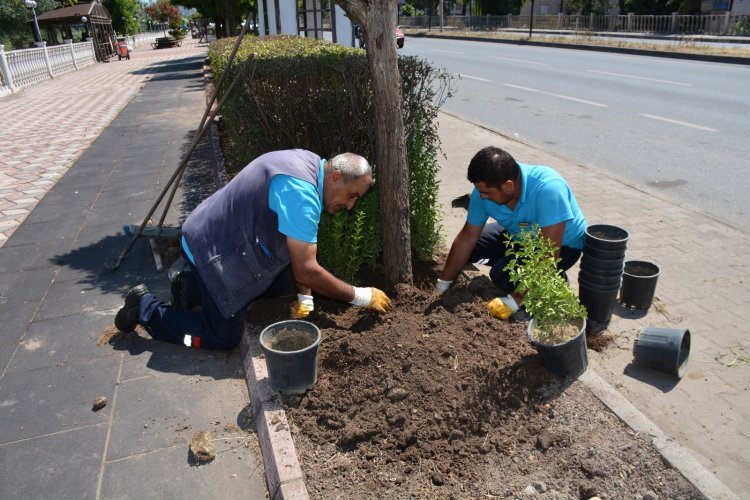GÜLÜÇ’ÜN HER KÖŞESİ GÜZELLEŞİYOR!