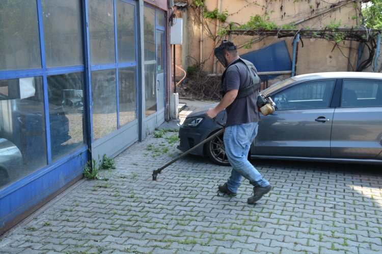 GÜLÜÇ BAYRAMA HAZIRLANIYOR...