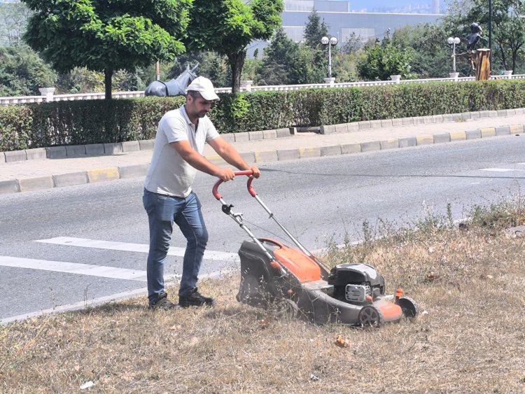 Tertemiz Bir Gülüç İçin Çalışıyoruz!
