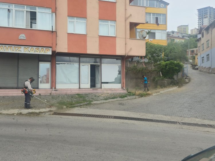 Gülüç’te Temizlik Seferberliği Tüm Hızıyla Sürüyor!