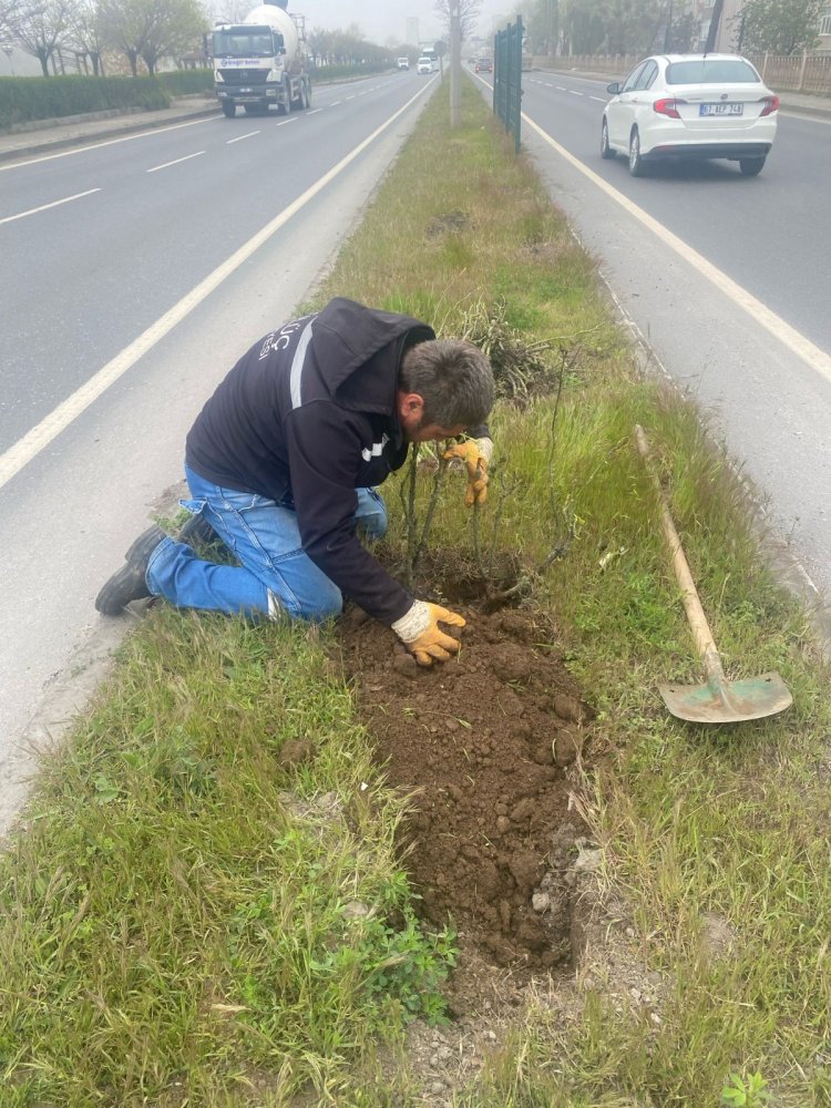 GÜLÜÇ DAHA TEMİZ DAHA GÜZEL!