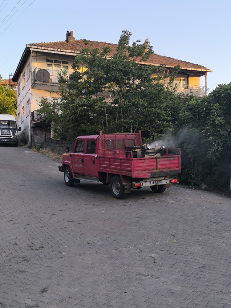 GÜLÜÇ'TE İLAÇLAMA ÇALIŞMALARI ARALIKSIZ OLARAK DEVAM EDİYOR....