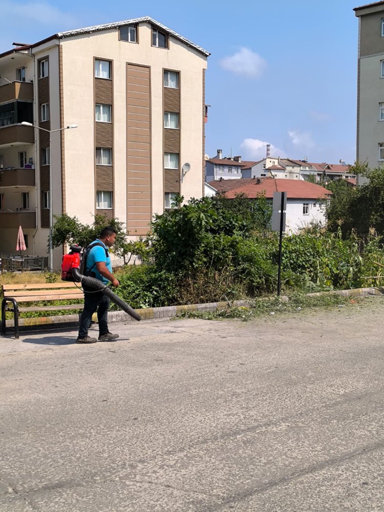 Tertemiz Bir Gülüç İçin Çalışıyoruz!